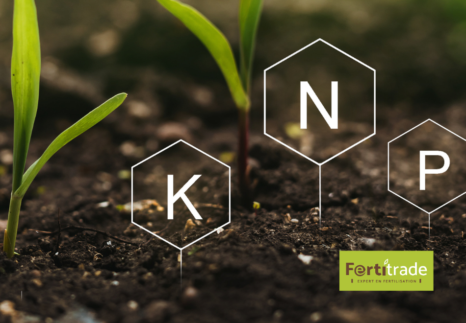 nutrition-plante