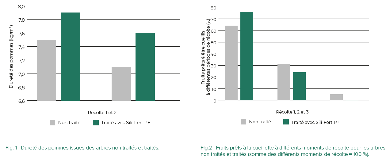 fig.1 - dureté des pommes issues des arbres non traités et traités