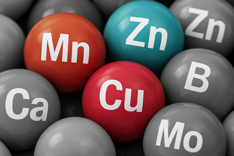 Laran-Mn-Zn-Cu
