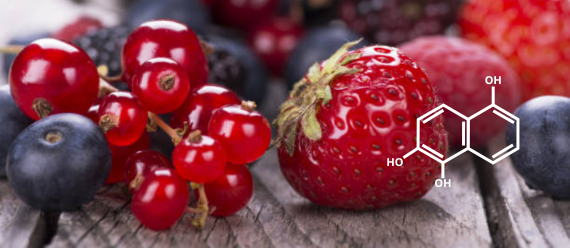 Visuel polyphénols
